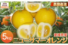 【栽培期間中農薬不使用】【先行受付】【数量限定】農園直送！愛媛県産ニューサマーオレンジ 5kg （2026年3月下旬頃より順次発送） 【 ふるさと納税 人気 おすすめ ランキング 柑橘 みかん ミカン 蜜柑 ニューサマ―オレンジ オレンジ フルーツ 果物 産地直送 ギフト 贈り物 栽培期間中農薬不使用 木野本農園 愛媛県産 愛媛県 伊方町 送料無料 】 IKTG009