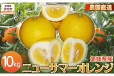 【栽培期間中農薬不使用】【先行受付】【数量限定】農園直送！愛媛県産ニューサマーオレンジ 10kg （2026年3月下旬頃より順次発送） 【 ふるさと納税 人気 おすすめ ランキング 柑橘 みかん ミカン 蜜柑 ニューサマ―オレンジ オレンジ フルーツ 果物 産地直送 ギフト 贈り物 栽培期間中農薬不使用 木野本農園 愛媛県産 愛媛県 伊方町 送料無料 】 IKTG010