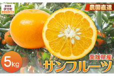 【栽培期間中農薬不使用】【先行受付】【数量限定】農園直送！愛媛県産サンフルーツ 5kg （2026年4月上旬頃より順次発送） 【 ふるさと納税 人気 おすすめ ランキング 柑橘 みかん ミカン 蜜柑 サンフルーツ フルーツ 果物 産地直送 ギフト 贈り物 栽培期間中農薬不使用 木野本農園 愛媛県産 愛媛県 伊方町 送料無料 】 IKTG011
