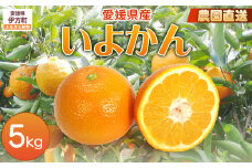 【栽培期間中農薬不使用】【先行受付】【数量限定】農園直送！愛媛県産 いよかん 5kg （2026年1月上旬頃より順次発送） 【 ふるさと納税 人気 おすすめ ランキング 柑橘 みかん ミカン 蜜柑 いよかん 伊予柑 フルーツ 果物 産地直送 ギフト 贈り物 栽培期間中農薬不使用 木野本農園 愛媛県産 愛媛県 伊方町 送料無料 】 IKTG015