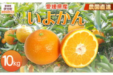【栽培期間中農薬不使用】【先行受付】【数量限定】農園直送！愛媛県産 いよかん 10kg （2026年1月上旬頃より順次発送） 【 ふるさと納税 人気 おすすめ ランキング 柑橘 みかん ミカン 蜜柑 いよかん 伊予柑 フルーツ 果物 産地直送 ギフト 贈り物 栽培期間中農薬不使用 木野本農園 愛媛県産 愛媛県 伊方町 送料無料 】 IKTG016