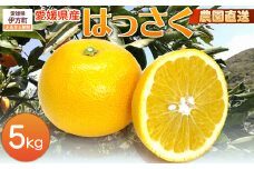 【栽培期間中農薬不使用】【先行受付】【数量限定】農園直送！愛媛県産 はっさく 5kg （2026年2月下旬頃より順次発送） 【 ふるさと納税 人気 おすすめ ランキング 柑橘 みかん ミカン 蜜柑 はっさく フルーツ 果物 産地直送 ギフト 贈り物 栽培期間中農薬不使用 木野本農園 愛媛県産 愛媛県 伊方町 送料無料 】 IKTG023