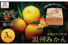 【愛媛県伊方町産】太陽の恵み！甘くてジューシーなみかん 媛の輝き 3kg（2025年11月下旬頃より順次発送） 【 ふるさと納税 人気 おすすめ ランキング みかん ミカン 柑橘 媛の輝き 温州みかん 果物 フルーツ 伊方サービス 愛媛県産 愛媛県 伊方町 送料無料 】 IKTE005