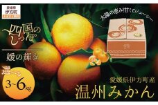 【愛媛県伊方町産】太陽の恵み！甘くてジューシーなみかん 媛の輝き 6kg（2025年11月下旬頃より順次発送） 【 ふるさと納税 人気 おすすめ ランキング みかん ミカン 柑橘 媛の輝き 温州みかん 果物 フルーツ 伊方サービス 愛媛県産 愛媛県 伊方町 送料無料 】 IKTE006