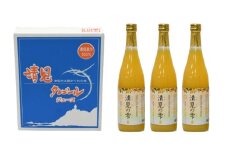 清見タンゴールジュース （720ml×3本）※離島への配送不可 【 ふるさと納税 人気 おすすめ ランキング オレンジ みかん みかんジュース ミカンジュース みかんじゅーす 国産 贈答 内祝い お返し お見舞い お供え お中元 お歳暮 プレゼント 清見 清見タンゴール 愛媛県 伊方町 送料無料 】 IKTBD001