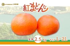 【先行予約】【数量限定】【贈答用】限定100ケース！紅まどんな（生果2.5kg/L～2Lサイズ）※離島への配送不可（2025年12月上旬～2026年1月下旬頃に順次発送予定） 【 ふるさと納税 人気 おすすめ ランキング 柑橘 みかん ミカン 紅まどんな mikan 蜜柑 果物 フルーツ 贈答 贈答用 プレゼント ギフト 愛媛県産 愛媛県 伊方町 送料無料 】 IKTBD002