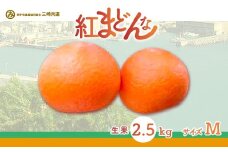 【先行予約】【数量限定】【贈答用】限定100ケース！紅まどんな（2.5kg/Mサイズ）※離島への配送不可（2025年12月上旬～2026年1月下旬頃に順次発送予定） 【 ふるさと納税 人気 おすすめ ランキング 柑橘 みかん ミカン 紅まどんな mikan 蜜柑 果物 フルーツ 贈答 贈答用 プレゼント ギフト 愛媛県産 愛媛県 伊方町 送料無料 】 IKTBD003