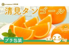 清見タンゴール（Pプラ包装・生果2.5kg）※離島への配送不可 【 ふるさと納税 人気 おすすめ ランキング 柑橘 みかん ミカン 清見 清見タンゴール mikan 蜜柑 果物 生果 フルーツ 愛媛県産 愛媛県 伊方町 送料無料 】 IKTBD006