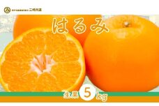 【先行予約】【数量限定】はるみ（生果5kg）※離島への配送不可（2026年1月下旬～2月上旬頃に順次発送予定） 【 ふるさと納税 人気 おすすめ ランキング 柑橘 みかん ミカン はるみ mikan 蜜柑 果物 生果 フルーツ 愛媛県産 愛媛県 伊方町 送料無料 】 IKTBD009