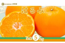 【先行予約】【数量限定】はるみ（生果5kg）※離島への配送不可（2026年1月下旬～2月上旬頃に順次発送予定） 【 ふるさと納税 人気 おすすめ ランキング 柑橘 みかん ミカン はるみ mikan 蜜柑 果物 生果 フルーツ 愛媛県産 愛媛県 伊方町 送料無料 】 IKTBD009