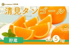 【先行予約】清見タンゴール（貯蔵・生果5kg）※離島への配送不可（2026年4月下旬～5月上旬頃に順次発送予定） 【 ふるさと納税 人気 おすすめ ランキング 柑橘 みかん ミカン 清見 清見タンゴール mikan 蜜柑 果物 生果 フルーツ 愛媛県産 愛媛県 伊方町 送料無料 】 IKTBD007