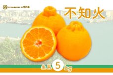 【先行予約】不知火（生果5kg）※離島への配送不可（2026年2月上旬～2月下旬頃に順次発送予定） 【 ふるさと納税 人気 おすすめ ランキング 柑橘 みかん ミカン 不知火 しらぬい mikan 蜜柑 果物 生果 フルーツ デコポン と同品種 愛媛県産 愛媛県 伊方町 送料無料 】 IKTBD011