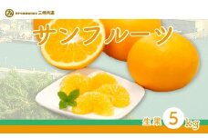 【先行予約】サンフルーツ（生果5kg）※離島への配送不可（2026年2月上旬～3月上旬頃に順次発送予定） 【 ふるさと納税 人気 おすすめ ランキング 柑橘 みかん ミカン サンフルーツ mikan 蜜柑 果物 生果 フルーツ 愛媛県産 愛媛県 伊方町 送料無料 】 IKTBD013