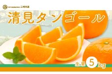 【先行予約】清見タンゴール（生果5kg）※離島への配送不可（2026年3月上旬～4月上旬頃に順次発送予定） 【 ふるさと納税 人気 おすすめ ランキング 柑橘 みかん ミカン 清見 清見タンゴール mikan 蜜柑 果物 生果 フルーツ 愛媛県産 愛媛県 伊方町 送料無料 】 IKTBD015