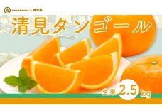 【先行予約】清見タンゴール（生果2.5kg）※離島への配送不可（2026年3月上旬～4月上旬頃に順次発送予定） 【 ふるさと納税 人気 おすすめ ランキング 柑橘 みかん ミカン 清見 清見タンゴール mikan 蜜柑 果物 生果 フルーツ 愛媛県産 愛媛県 伊方町 送料無料 】 IKTBD014
