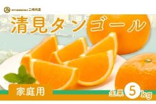 【先行予約】【家庭用】清見タンゴール 5kg ※離島への配送不可（2026年3月上旬～4月上旬頃に順次発送予定） 【 ふるさと納税 人気 おすすめ ランキング 柑橘 みかん ミカン 清見 清見タンゴール mikan 蜜柑 果物 生果 フルーツ 家庭用 愛媛県産 愛媛県 伊方町 送料無料 】 IKTBD017