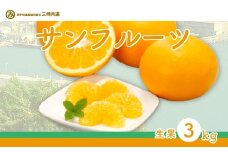 【先行予約】サンフルーツ（生果3kg）※離島への配送不可（2026年2月上旬～3月上旬頃に順次発送） 【 ふるさと納税 人気 おすすめ ランキング 柑橘 みかん ミカン サンフルーツ mikan 蜜柑 果物 生果 フルーツ 愛媛県産 愛媛県 伊方町 送料無料 】 IKTBD012