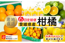 【数量限定】 【6回定期便】産地直送！愛媛県産柑橘 【 ふるさと納税 人気 おすすめ ランキング みかん ミカン 蜜柑 いよかん 清見タンゴール ジューシーフルーツ 愛媛まるごとゼリー 極早生みかん 温州みかん 定期便 フルーツ 果物 産地直送 ニュウズ 愛媛県産 愛媛県 伊方町 送料無料 】 IKTF006
