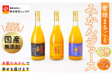 【皮までまるごと国産無添加】みかんジュース3種セット（720ml×3本） 【 ふるさと納税 人気 おすすめ ランキング みかん ミカン 蜜柑 みかんジュース ジュース ミカンジュース オレンジジュース フルーツ 果物 ニュウズ 愛媛県 伊方町 送料無料 】 IKTF007