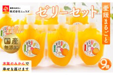 【皮までまるごと国産無添加】愛媛まるごとゼリーセット（9個） 【 ふるさと納税 人気 おすすめ ランキング みかん ミカン 蜜柑 ゼリー セット フルーツ 果物 ニュウズ 愛媛県 伊方町 送料無料 】 IKTF009