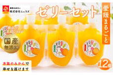 【皮までまるごと国産無添加】愛媛まるごとゼリーセット（12個） 【 ふるさと納税 人気 おすすめ ランキング みかん ミカン 蜜柑 ゼリー セット フルーツ 果物 ニュウズ 愛媛県 伊方町 送料無料 】 IKTF012