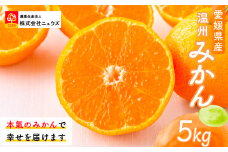【先行予約】温州みかん（生果）5kg（2025年11月上旬より順次発送） 【 ふるさと納税 人気 おすすめ ランキング みかん ミカン 蜜柑 温州みかん 温州ミカン フルーツ 果物 産地直送 ニュウズ 愛媛県産 愛媛県 伊方町 送料無料 】 IKTF013
