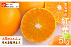 【先行予約】紅華（生果）約5kg （2025年12月上旬より順次発送） 【 ふるさと納税 人気 おすすめ ランキング みかん ミカン 蜜柑 紅華 フルーツ 果物 産地直送 ニュウズ 愛媛県産 愛媛県 伊方町 送料無料 】 IKTF015