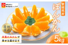【先行予約】産地直送！愛媛県産ぽんかん 5kg（2026年1月上旬より順次発送） 【 ふるさと納税 人気 おすすめ ランキング みかん ミカン 蜜柑 ぽんかん フルーツ 果物 産地直送 ニュウズ 愛媛県産 愛媛県 伊方町 送料無料 】 IKTF016