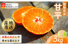 【先行予約】産地直送！愛媛県産甘平 3kg（訳あり）（2026年1月下旬より発送予定） 【 ふるさと納税 人気 おすすめ ランキング みかん ミカン 蜜柑 甘平 訳あり フルーツ 果物 産地直送 ニュウズ 愛媛県産 愛媛県 伊方町 送料無料 】 IKTF020 