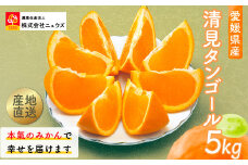 【先行予約】産地直送！愛媛県産清見タンゴール 5kg（2026年3月上旬より順次発送） 【 ふるさと納税 人気 おすすめ ランキング みかん ミカン 蜜柑 清見タンゴール フルーツ 果物 産地直送 ニュウズ 愛媛県産 愛媛県 伊方町 送料無料 】 IKTF022