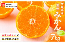 【先行予約】産地直送！愛媛県産温州みかん 7kg（2025年11月上旬より順次発送） 【 ふるさと納税 人気 おすすめ ランキング みかん ミカン 蜜柑 温州みかん 温州ミカン フルーツ 果物 産地直送 ニュウズ 愛媛県産 愛媛県 伊方町 送料無料 】 IKTF023