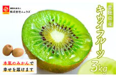 【先行予約】キウイフルーツ（生果）3kg（2025年11月上旬より順次発送） 【 ふるさと納税 人気 おすすめ ランキング キウイ キウイフルーツ フルーツ 果物 産地直送 ニュウズ 愛媛県産 愛媛県 伊方町 送料無料 】 IKTF024