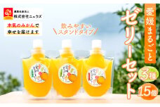 飲みやすいスタンドタイプ 愛媛まるごとゼリー 3種15個 ※離島への配送不可 【  ふるさと納税 人気 おすすめ ランキング みかん ミカン 蜜柑 ゼリー セット フルーツ 果物 ニュウズ 愛媛県 伊方町 送料無料 】 IKTF027