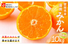 【先行予約】【訳あり】温州みかん 10kg ※離島への配送不可（2025年11月上旬より順次発送） 【 ふるさと納税 人気 おすすめ ランキング みかん ミカン 蜜柑 温州みかん 温州ミカン 訳あり フルーツ 果物 産地直送 ニュウズ 愛媛県産 愛媛県 伊方町 送料無料 】 IKTF028