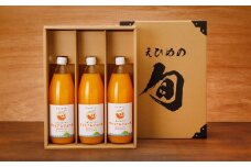 【岡市農園】愛果28号100％プレミアムジュース ※離島への配送不可 【 ふるさと納税 人気 おすすめ ランキング ジュース みかんジュース オレンジジュース 愛果28号 柑橘 みかん ミカン 紅 まどんな 蜜柑 飲料 ドリンク 果汁100％ 岡市農園 愛媛県産 愛媛県 伊方町 送料無料 】IKTV002