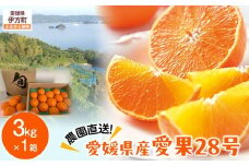 【先行予約】【数量限定】＼農園直送／愛媛県産 愛果28号 3kg×1箱（2025年12月中旬より順次発送） 【 ふるさと納税 人気 おすすめ ランキング 柑橘 みかん ミカン 蜜柑 愛果28号 紅 まどんな と同品種 果物 フルーツ 岡市農園 愛媛県産 愛媛県 伊方町 送料無料 】IKTV003