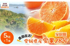 【先行予約】【数量限定】＼農園直送／愛媛県産 愛果28号（家庭用） 5kg×1箱（サイズ混合）（2025年12月中旬より順次発送） 【 ふるさと納税 人気 おすすめ ランキング 柑橘 みかん ミカン 蜜柑 愛果28号 紅 まどんな と同品種 果物 フルーツ 家庭用 岡市農園 愛媛県産 愛媛県 伊方町 送料無料 】IKTV005