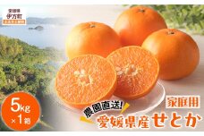 【先行予約】【数量限定】＼農園直送／愛媛県産せとか5kg×1箱（家庭用）（2026年2月下旬より順次発送） 【 ふるさと納税 人気 おすすめ ランキング 柑橘 みかん ミカン 蜜柑 せとか 果物 フルーツ 柑橘の大トロ 家庭用 農園直送 産地直送 岡市農園 愛媛県産 愛媛県 伊方町 送料無料 】IKTV008