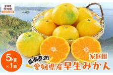 【先行予約】【数量限定】＼農園直送／愛媛県産早生みかん5kg×1箱（家庭用）（2025年11月中下旬より順次発送） 【 ふるさと納税 人気 おすすめ ランキング 柑橘 みかん 早生みかん ミカン 蜜柑 果物 フルーツ 農園直送 産地直送 岡市農園 愛媛県産 愛媛県 伊方町 送料無料 】IKTV009