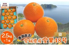【先行予約】【数量限定】【優】＼農園直送／愛媛県産愛果48号 約2.5kg（2026年2月下旬より順次発送） 【 ふるさと納税 人気 おすすめ ランキング 柑橘 みかん ミカン 蜜柑 愛果48号 果物 フルーツ 産地直送 農園直送 岡市農園 愛媛県産 愛媛県 伊方町 送料無料 】IKTV012