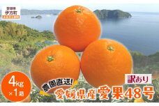 【先行予約】【数量限定】【訳あり】＼農園直送／愛媛県産愛果48号 約4kg（2026年2月下旬より順次発送） 【 ふるさと納税 人気 おすすめ ランキング 柑橘 みかん ミカン 蜜柑 愛果48号 果物 フルーツ 訳あり 産地直送 農園直送 岡市農園 愛媛県産 愛媛県 伊方町 送料無料 】IKTV013