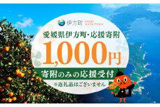 【返礼品なし】愛媛県伊方町・応援寄附1,000円（寄附のみの応援受付 ※返礼品はございません） 【ふるさと納税 人気 おすすめ ランキング 応援寄附 返礼品なし 愛媛県 伊方町 送料無料】 IKTBG001