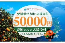 【返礼品なし】愛媛県伊方町・応援寄附50,000円（寄附のみの応援受付 ※返礼品はございません） 【ふるさと納税 人気 おすすめ ランキング 応援寄附 返礼品なし 愛媛県 伊方町 送料無料】 IKTBG005