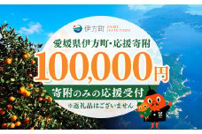 【返礼品なし】愛媛県伊方町・応援寄附100,000円（寄附のみの応援受付 ※返礼品はございません） 【ふるさと納税 人気 おすすめ ランキング 応援寄附 返礼品なし 愛媛県 伊方町 送料無料】 IKTBG006