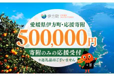 【返礼品なし】愛媛県伊方町・応援寄附500,000円（寄附のみの応援受付 ※返礼品はございません） 【ふるさと納税 人気 おすすめ ランキング 応援寄附 返礼品なし 愛媛県 伊方町 送料無料】 IKTBG008
