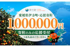 【返礼品なし】愛媛県伊方町・応援寄附1,000,000円（寄附のみの応援受付 ※返礼品はございません） 【ふるさと納税 人気 おすすめ ランキング 応援寄附 返礼品なし 愛媛県 伊方町 送料無料】 IKTBG009