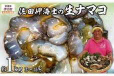 【先行予約】【数量限定】佐田岬海士の生ナマコ 約1kg（3～4匹）※北海道・東北地方・沖縄・離島への配送不可（2026年1月中旬頃より順次発送） 【 ふるさと納税 人気 おすすめ ランキング ナマコ 生ナマコ なまこ 生なまこ 1kg 赤ナマコ 産地直送 海鮮 新鮮 愛媛県 伊方町 送料無料 】 IKTJ013