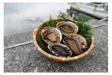 【数量限定】佐田岬海士の黒赤あわび【4/15～10/25の漁解禁日に合わせて発送】※北海道・東北地方・沖縄・離島への配送不可 【 ふるさと納税 人気 おすすめ ランキング あわび アワビ 鮑 黒アワビ 黒あわび 赤アワビ 赤あわび 佐田岬 海鮮 新鮮 黒赤あわび 愛媛県 伊方町 送料無料 】 IKTJ014