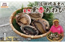 【数量限定】佐田岬海士の黒赤あわび【4/15～10/25の漁解禁日に合わせて発送】※北海道・東北地方・沖縄・離島への配送不可 【 ふるさと納税 人気 おすすめ ランキング あわび アワビ 鮑 黒アワビ 黒あわび 赤アワビ 赤あわび 佐田岬 海鮮 新鮮 黒赤あわび 愛媛県 伊方町 送料無料 】 IKTJ014