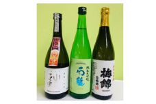 ワイングラスで美味しい日本酒アワード2020プレミアム大吟醸の部 金賞受賞酒 至高の酒セット 【 ふるさと納税 人気 おすすめ ランキング 日本酒 地酒 冷酒 石鎚酒造 梅錦山川 八木酒造部  純米大吟醸 お酒 酒 セット ギフト 贈答 贈り物 愛媛県 伊方町 送料無料 】 IKTAY001